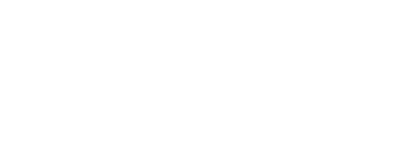 eAumark Logo