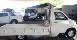ZANELLA Z-TRUCKS C/S
