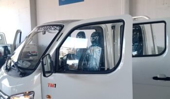
									FOTON AUMARK TM 1 Cabina Doble full								