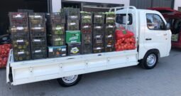 FOTON AUMARK TM 1 C/S