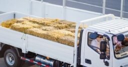 Foton AUMARK S3