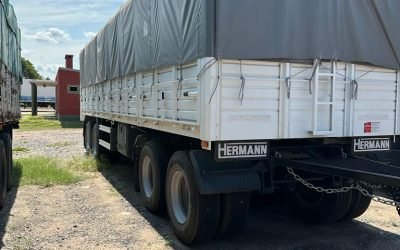 Hermann2022 (5) - copia