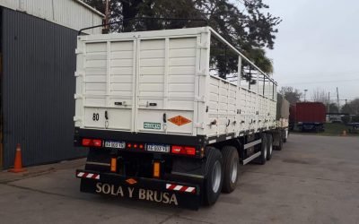 SOLA y BRUSA (8)